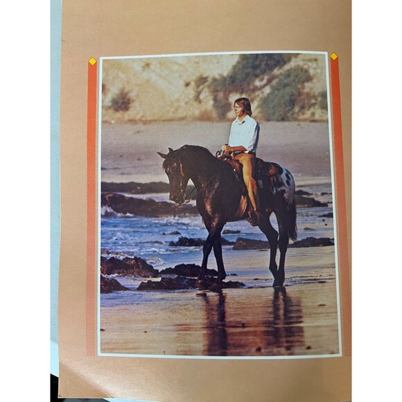 John Denver 1975 Windsong Concert Program Tour Book - Picture 12 of 12